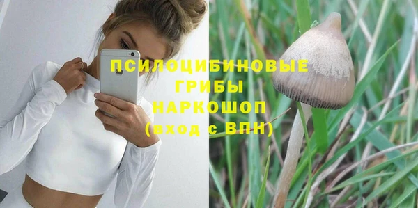 амф Белокуриха