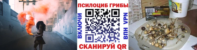 Галлюциногенные грибы мицелий  mega как зайти  Гай 